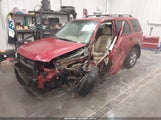 Ford Escape Xlt 1FMCU93118KC23198 снимка