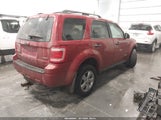 Ford Escape Xlt 1FMCU93118KC23198 снимка