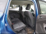 Miniaturka zdjęcia 8