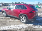 Toyota Rav4 Xle JTMP1RFV4KD018368 снимка