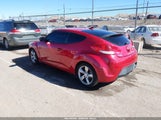 Miniaturka zdjęcia 3
