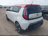 Miniaturka zdjęcia 3