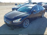 Nissan Maxima 3.5 Sv 1N4AA5AP0AC851568 снимка