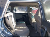 Toyota Rav4 Limited JTMZD31V886053884 photo