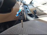 Miniaturka zdjęcia 11