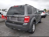 Ford Escape Xlt 1FMCU9DG7CKA44532 fotografie