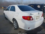 Toyota Corolla Le 1NXBU4EE9AZ235205 снимка