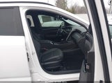 Hyundai Santa Cruz Limited 5NTJEDDF7RH120617 fotografie