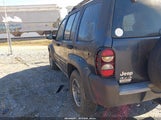 Jeep Liberty Renegade 1J4GL38K75W720794 photo