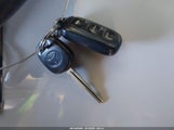 Miniaturka zdjęcia 11
