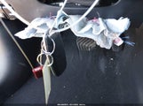 Miniaturka zdjęcia 11