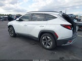 Hyundai Tucson Sel 3KMJB3DE4SE002217 снимка