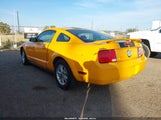 Ford Mustang V6 Deluxe/V6 Premium 1ZVHT80N975274196 fotografie