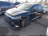 Hyundai Santa Fe Sel 5NMS33AD3LH209336 снимка