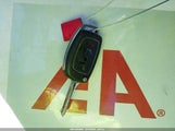 Miniaturka zdjęcia 11