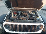 Jeep Wrangler 4-Door Rubicon 4X4 1C4PJXFG1RW260961 photo