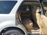Ford Escape Xlt 1FMCU03G59KD14900 снимка