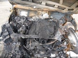 Audi Q8 Premium Plus 55 Tfsi Quattro WA1EVBF14SD003217 снимка