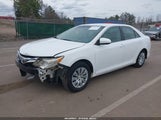 Toyota Camry Le 4T1BF1FK9DU224495 снимка