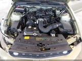 Ford Mustang V6 Deluxe/V6 Premium 1ZVFT80N555110772 снимка