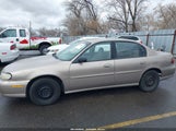 Chevrolet Malibu 1G1ND52J1Y6335587 снимка