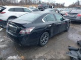 Miniaturka zdjęcia 4