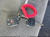 Miniaturka zdjęcia 11