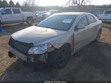 Miniaturka zdjęcia 2