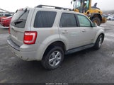 Ford Escape Limited 1FMCU041X8KB85769 снимка