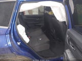 Miniaturka zdjęcia 8