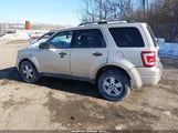 Ford Escape Xlt 1FMCU9D74AKC90838 снимка