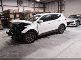 Hyundai Santa Fe Sport 2.4L 5XYZT3LB6EG172175 fotografie