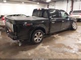 Miniaturka zdjęcia 4