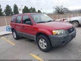 Ford Escape Xls/Xls Manual 1FMYU02Z36KA50046 photo