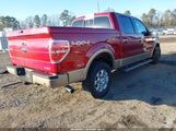 Ford F150 Supercrew 1FTFW1EF8DKG19967 снимка