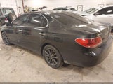 Lexus Es 330 JTHBA30G355131159 fotografie