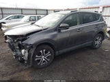Toyota Rav4 Le JTMBFREV5HJ712431 снимка