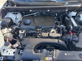 Toyota Rav4 Xle 2T3P1RFV9KW030535 photo