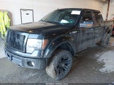 Ford F-150 Fx4/Harley-Davidson/King Ranch/Lariat/Platinum/Xl/Xlt 1FTFW1EV4AKE81198 fotografie
