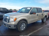 Ford F-150 Fx2 Sport/Harley-Davidson/King Ranch/Lariat/Platinum/Xl/Xlt 1FTFW1CV5AFB45345 fotografie
