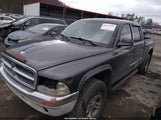 Dodge Dakota Slt 1D7HG48N94S611215 снимка