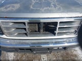 Ford F150 1FTEX14N3SKA02135 снимка