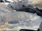 Ford Escape Se 1FMCU0GX3DUC51254 снимка