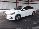 Hyundai Sonata Se 5NPE24AF8KH770804 снимка