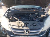 Honda Cr-V Ex-L 5J6RE3H78AL029798 photo