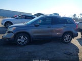 Honda Cr-V Ex-L 5J6RE3H78AL029798 photo