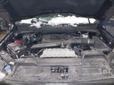 Ford F-150 Xlt 1FTFW1E8XMKF01565 снимка