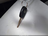 Miniaturka zdjęcia 11