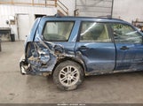 Miniaturka zdjęcia 6