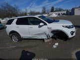 Land Rover Discovery Sport Hse/Landmark Edition SALCR2FX1KH802041 photo